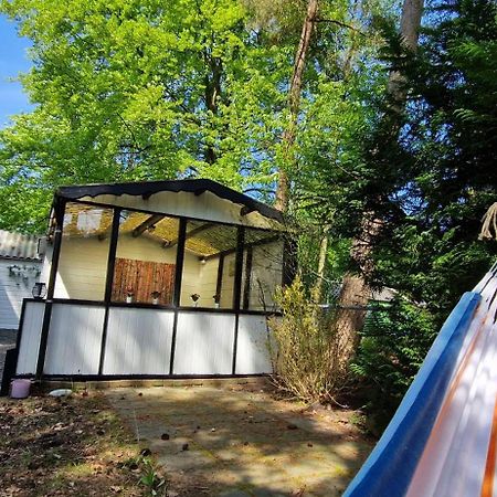 "Dennenhuisje" Op Bospark Ijsselheide Hattemerbroek Bagian luar foto