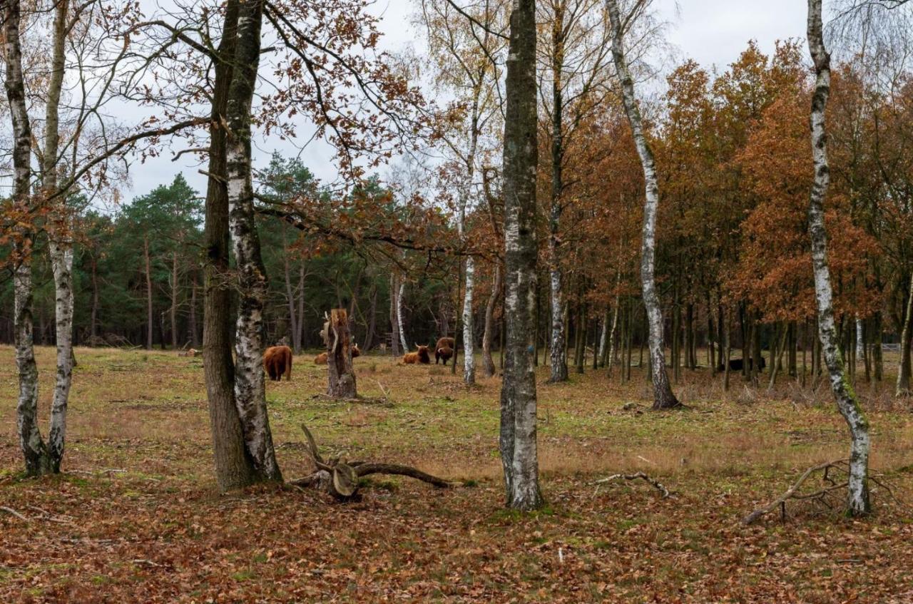 "Dennenhuisje" Op Bospark Ijsselheide Hattemerbroek Bagian luar foto