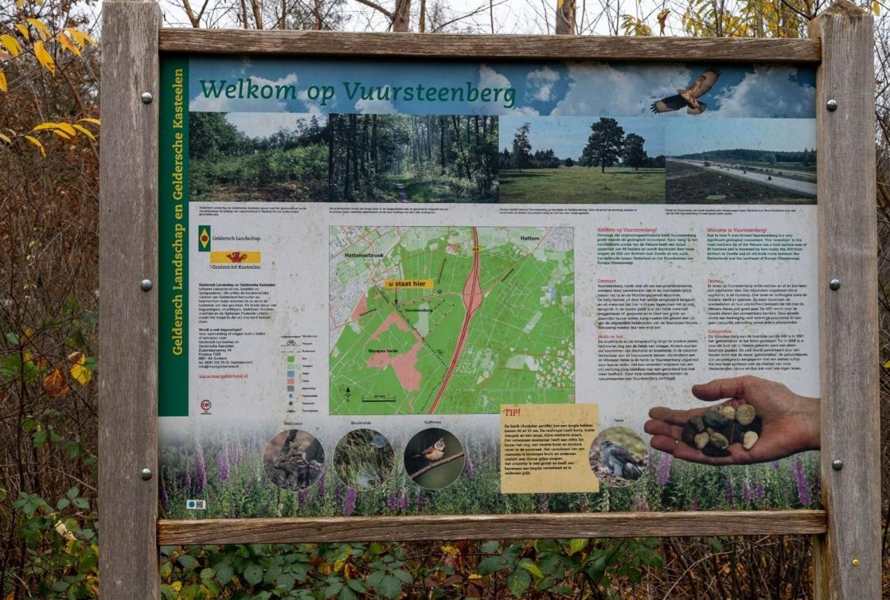 "Dennenhuisje" Op Bospark Ijsselheide Hattemerbroek Bagian luar foto
