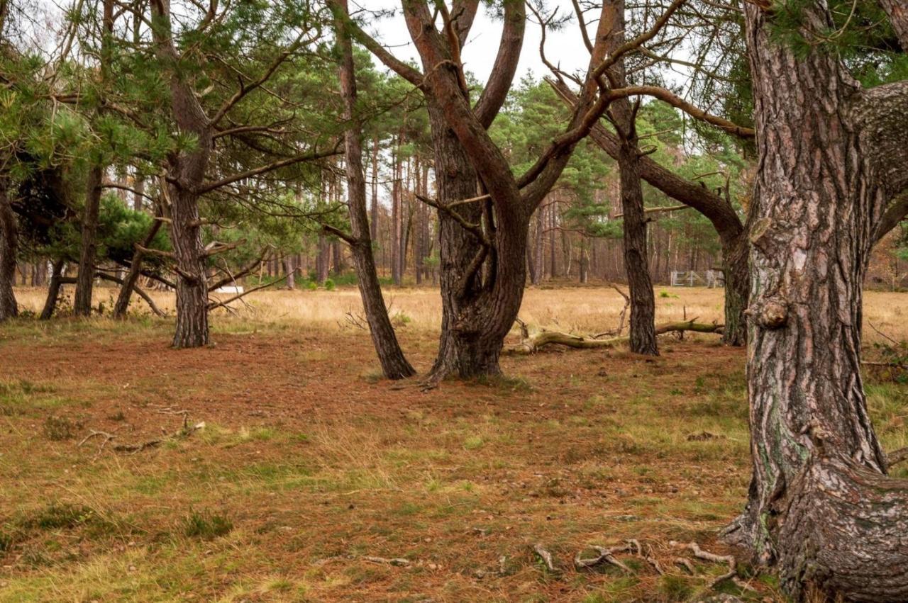 "Dennenhuisje" Op Bospark Ijsselheide Hattemerbroek Bagian luar foto