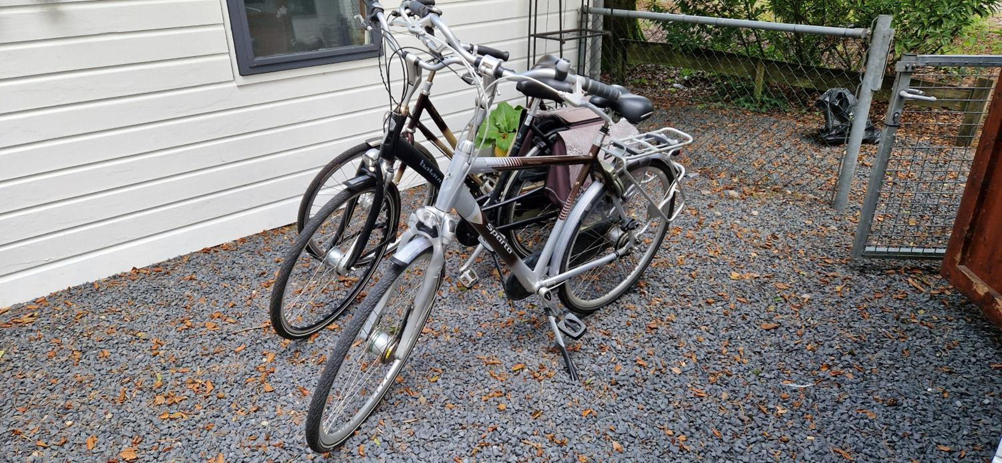 "Dennenhuisje" Op Bospark Ijsselheide Hattemerbroek Bagian luar foto